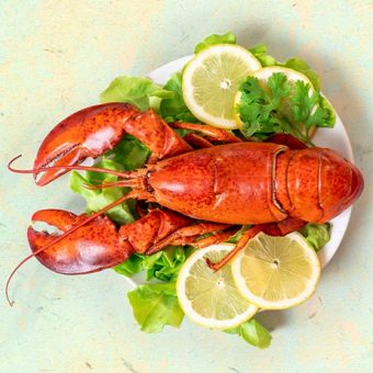 lobster-brunch